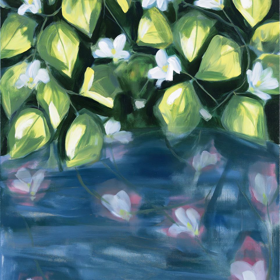 White flowers over blue water