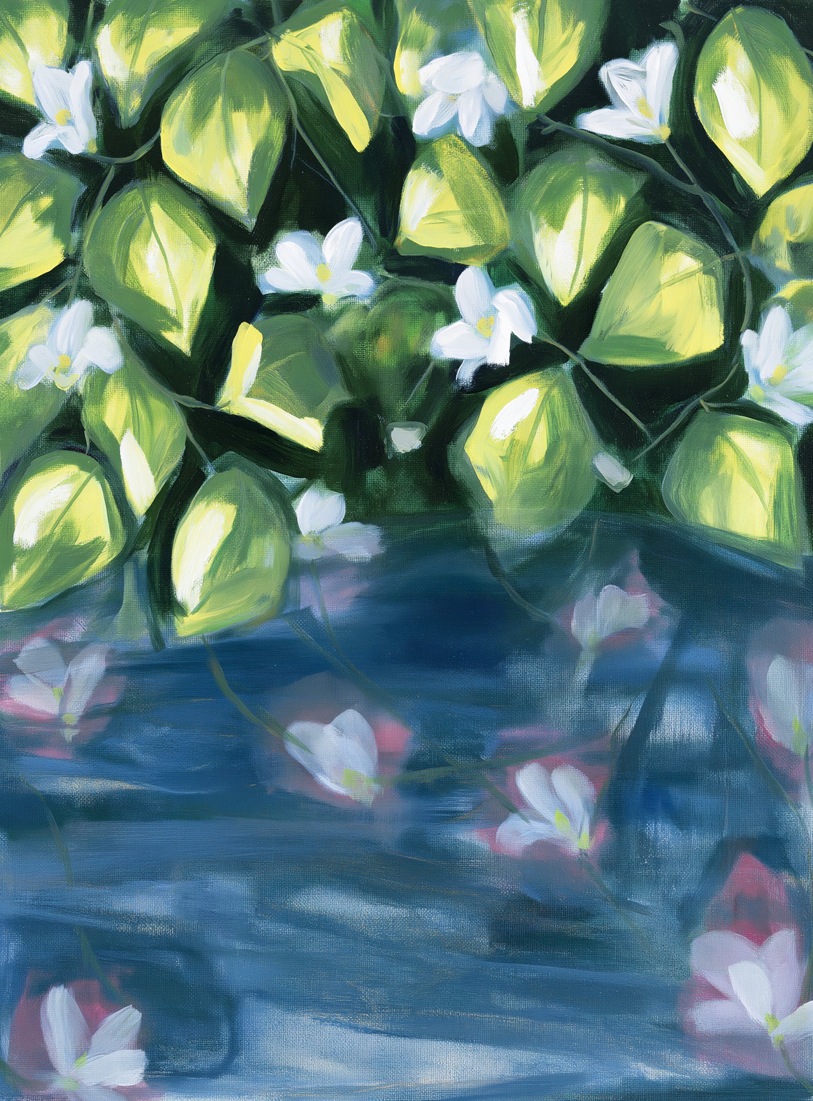 White flowers over blue water