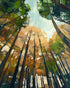 Canopy Lightfall