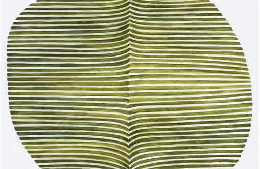 Dark green stripes crease inward