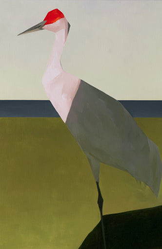 Red crown crane at the shore