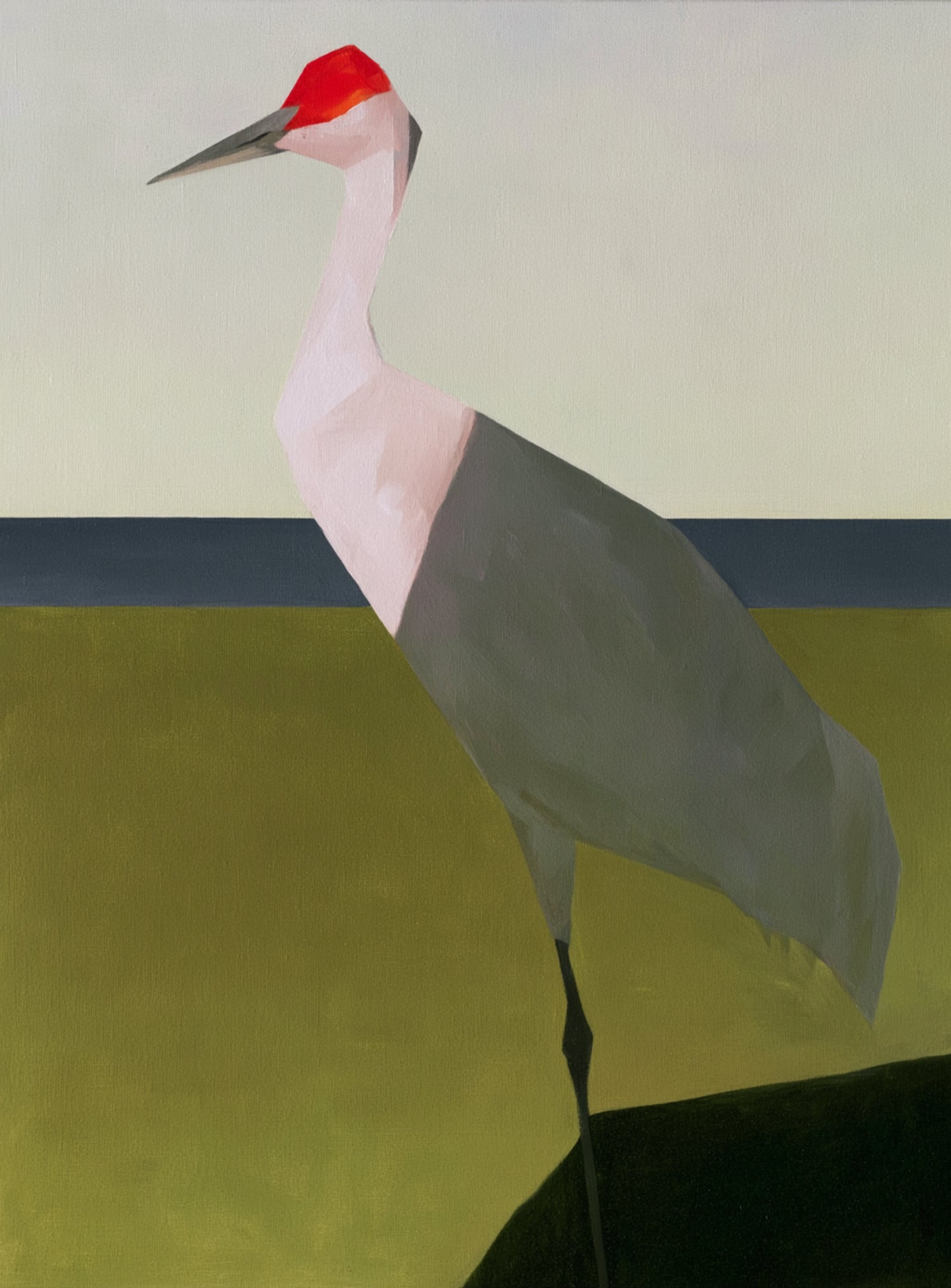Red crown crane at the shore