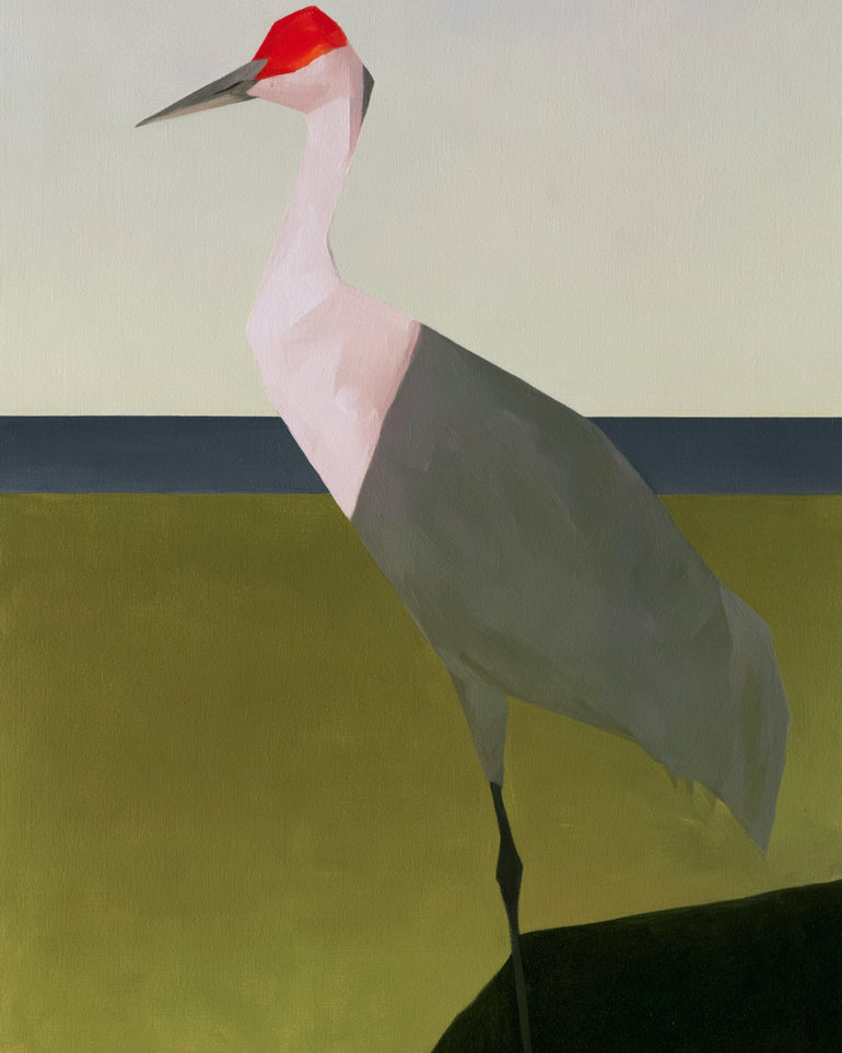 Red crown crane at the shore