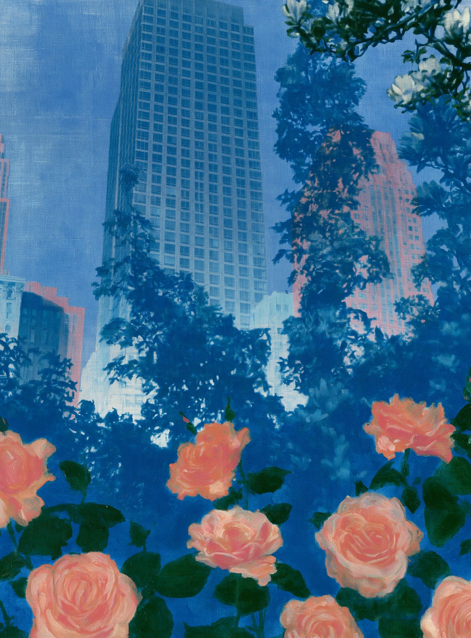 Pink roses below skyscrapers
