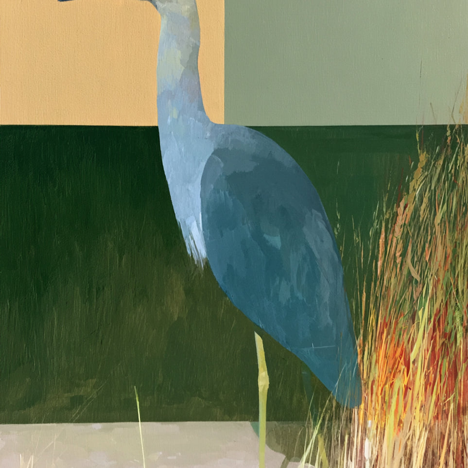 A heron beside the reeds