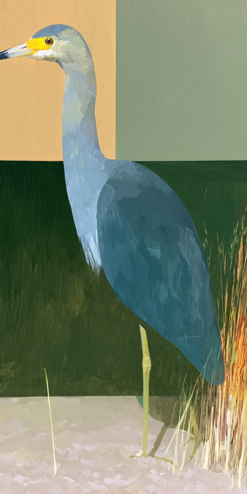 A heron beside the reeds