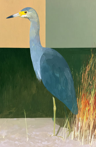 A heron beside the reeds