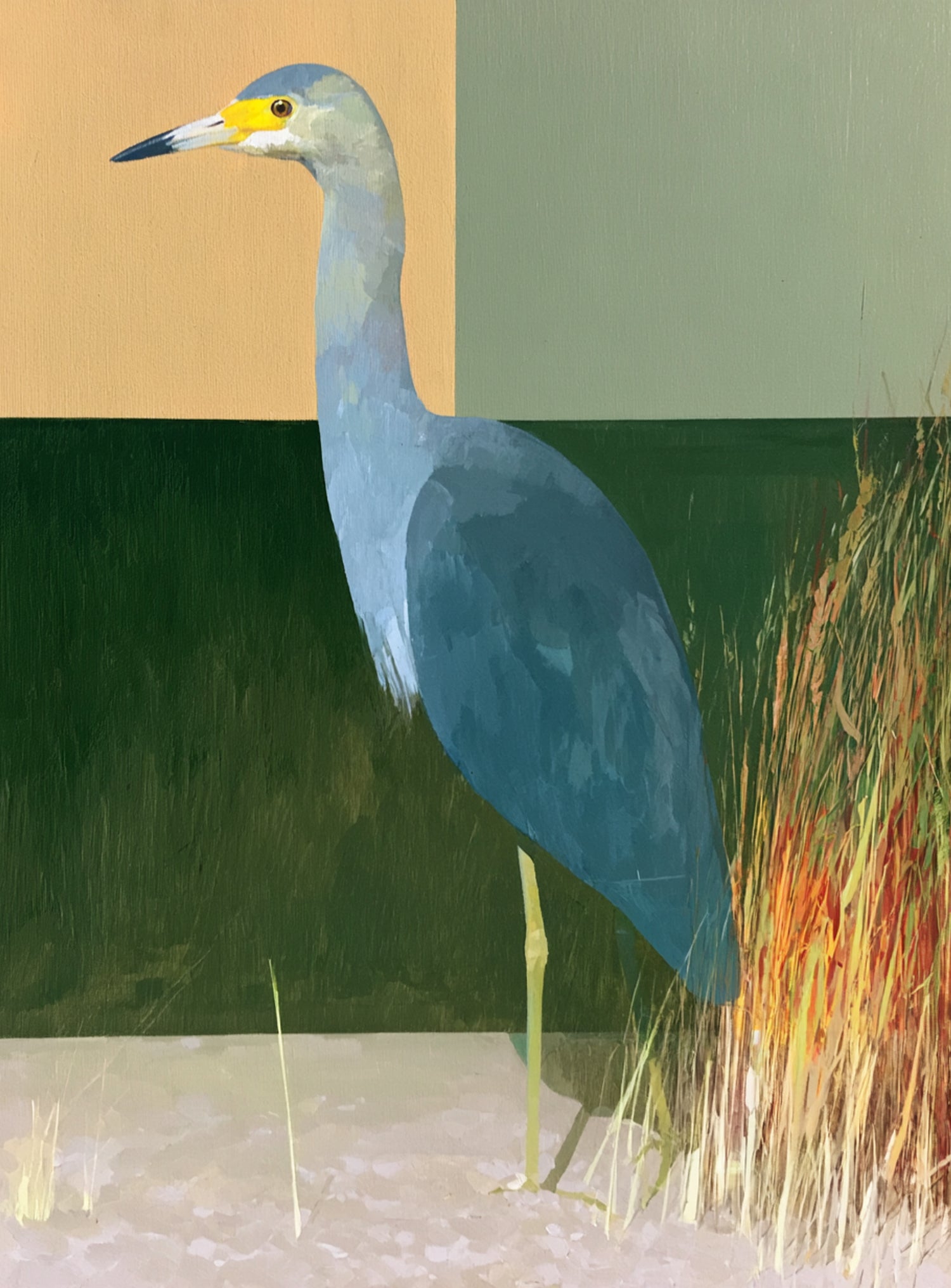 A heron beside the reeds