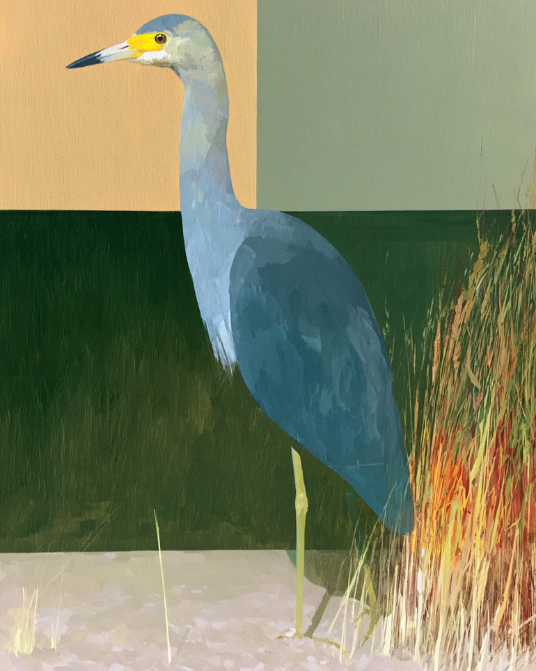 A heron beside the reeds