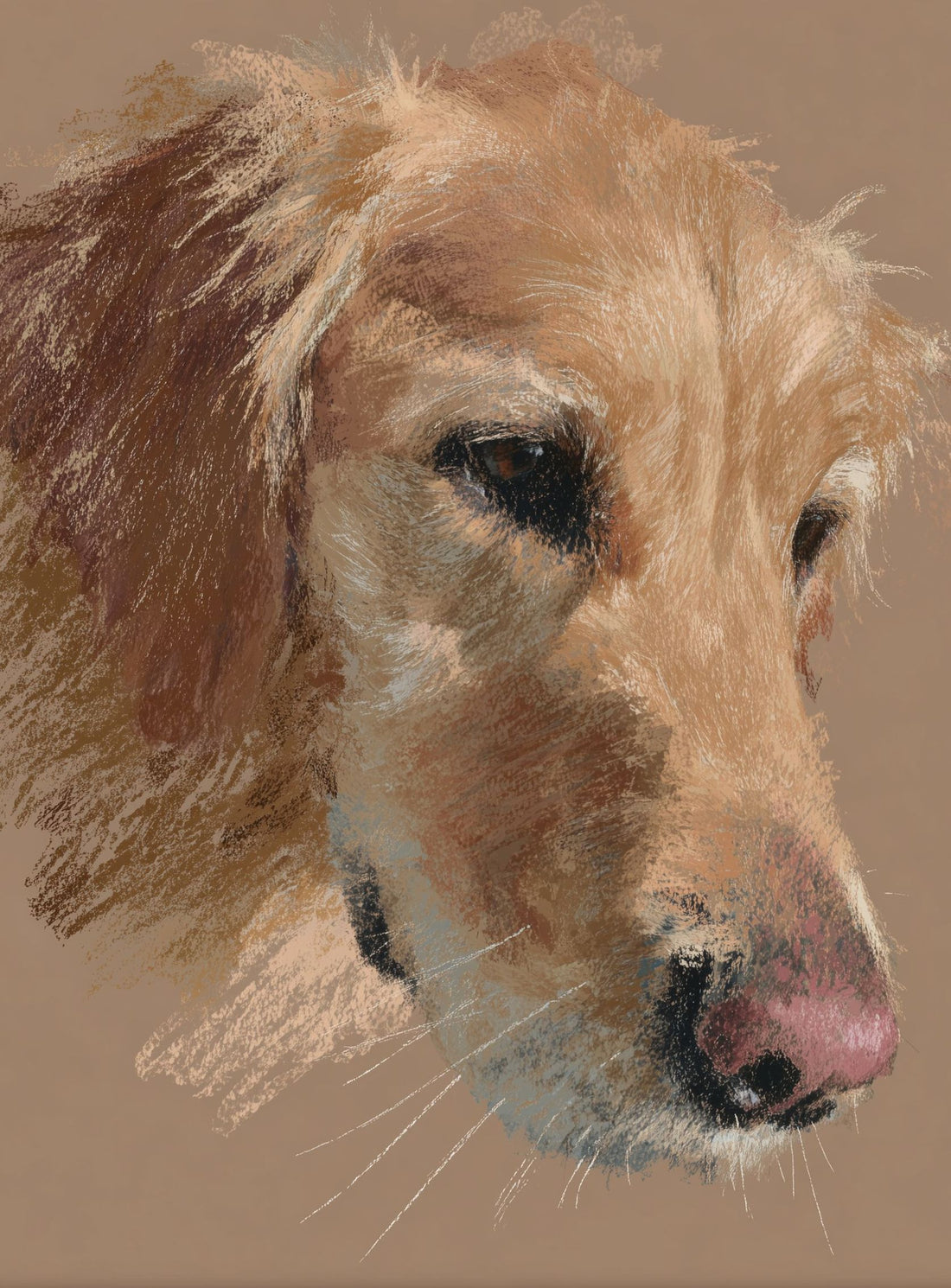 Warm browns on a golden retriever