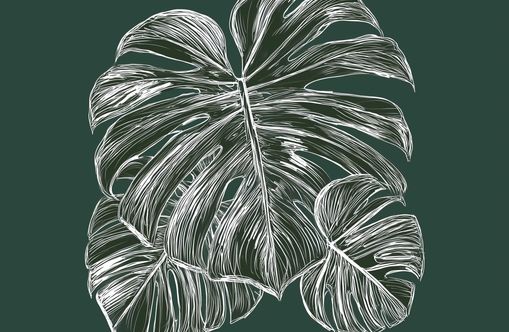 White veins on green field
