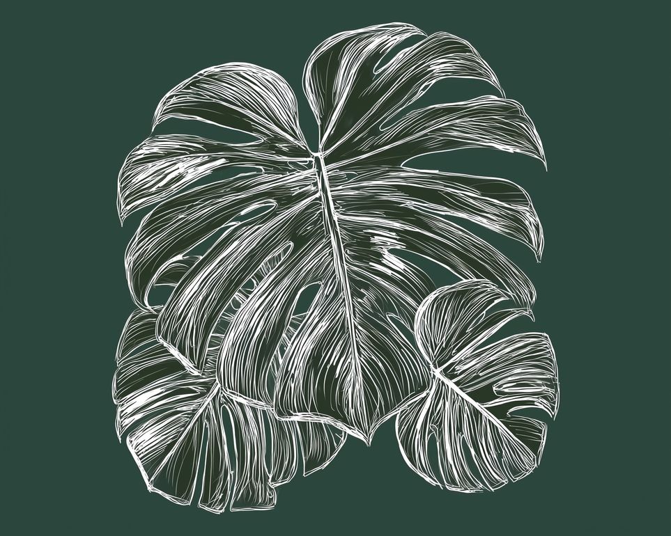 White veins on green field