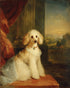 Jewels on the poodle collar