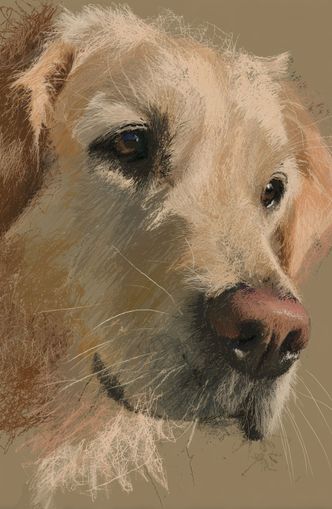 Warm fur in brown quietness