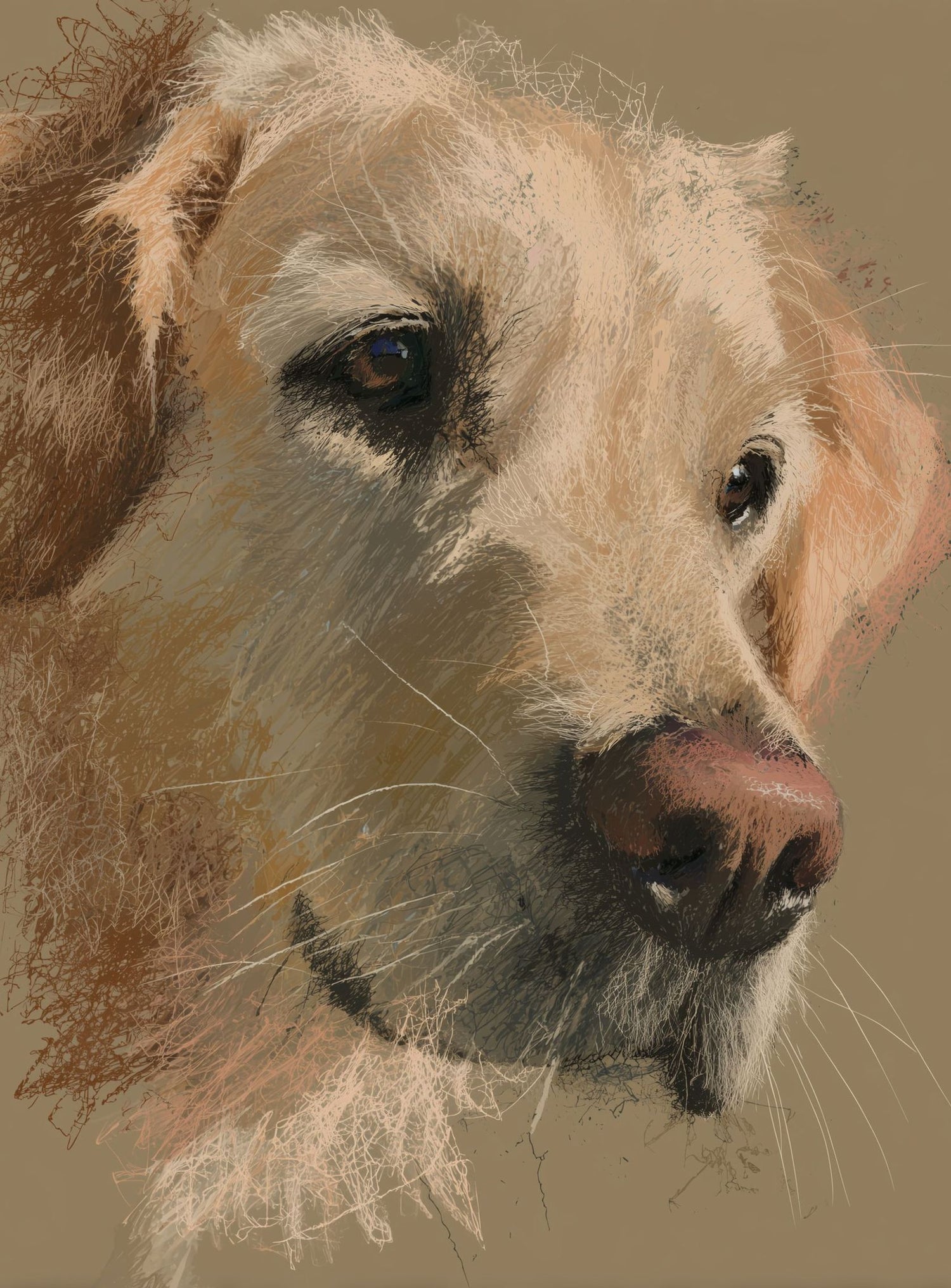 Warm fur in brown quietness