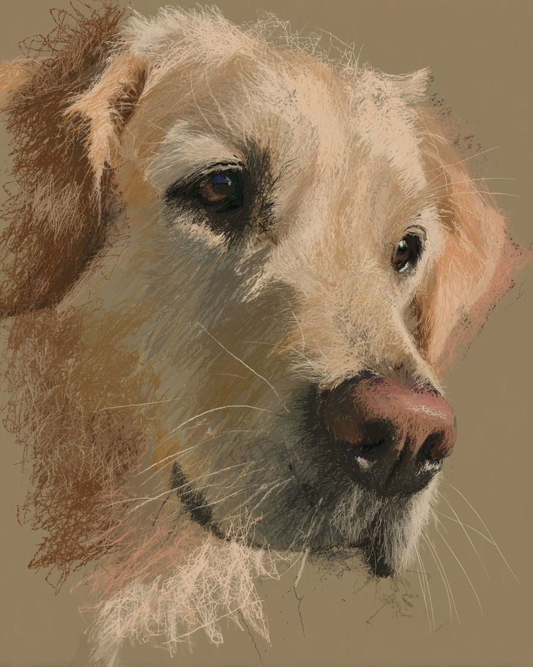Warm fur in brown quietness