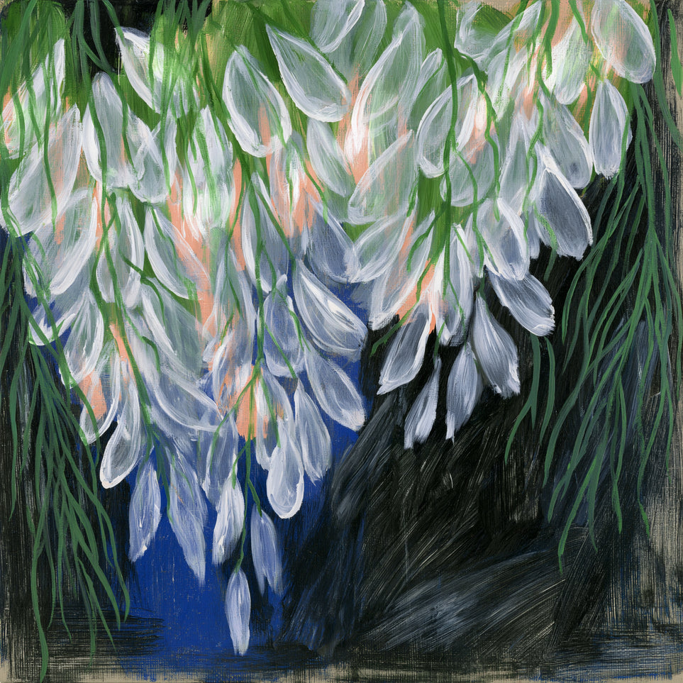 White petals over deep green