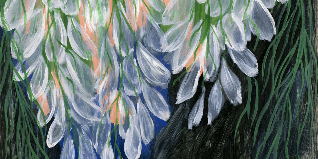White petals over deep green