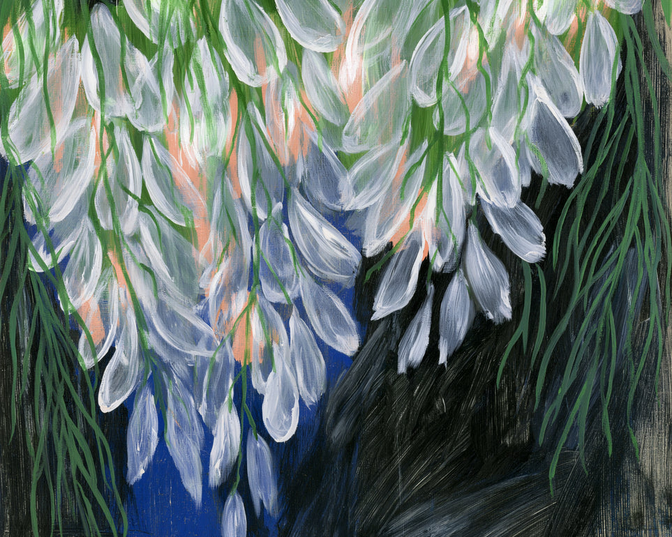 White petals over deep green