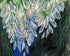 White petals over deep green