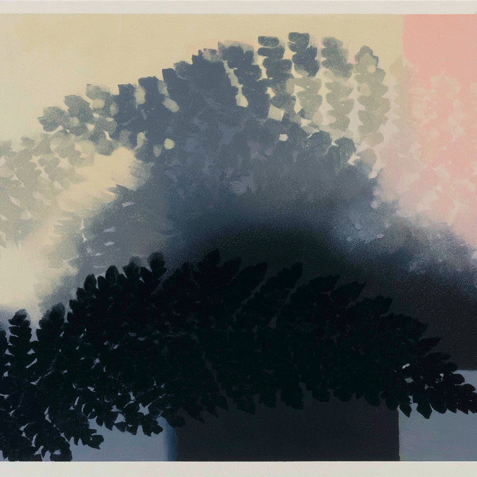 Tree shadow across the sky