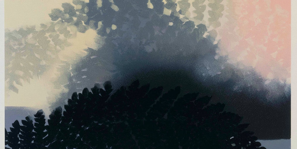 Tree shadow across the sky