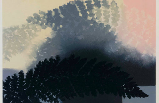 Tree shadow across the sky