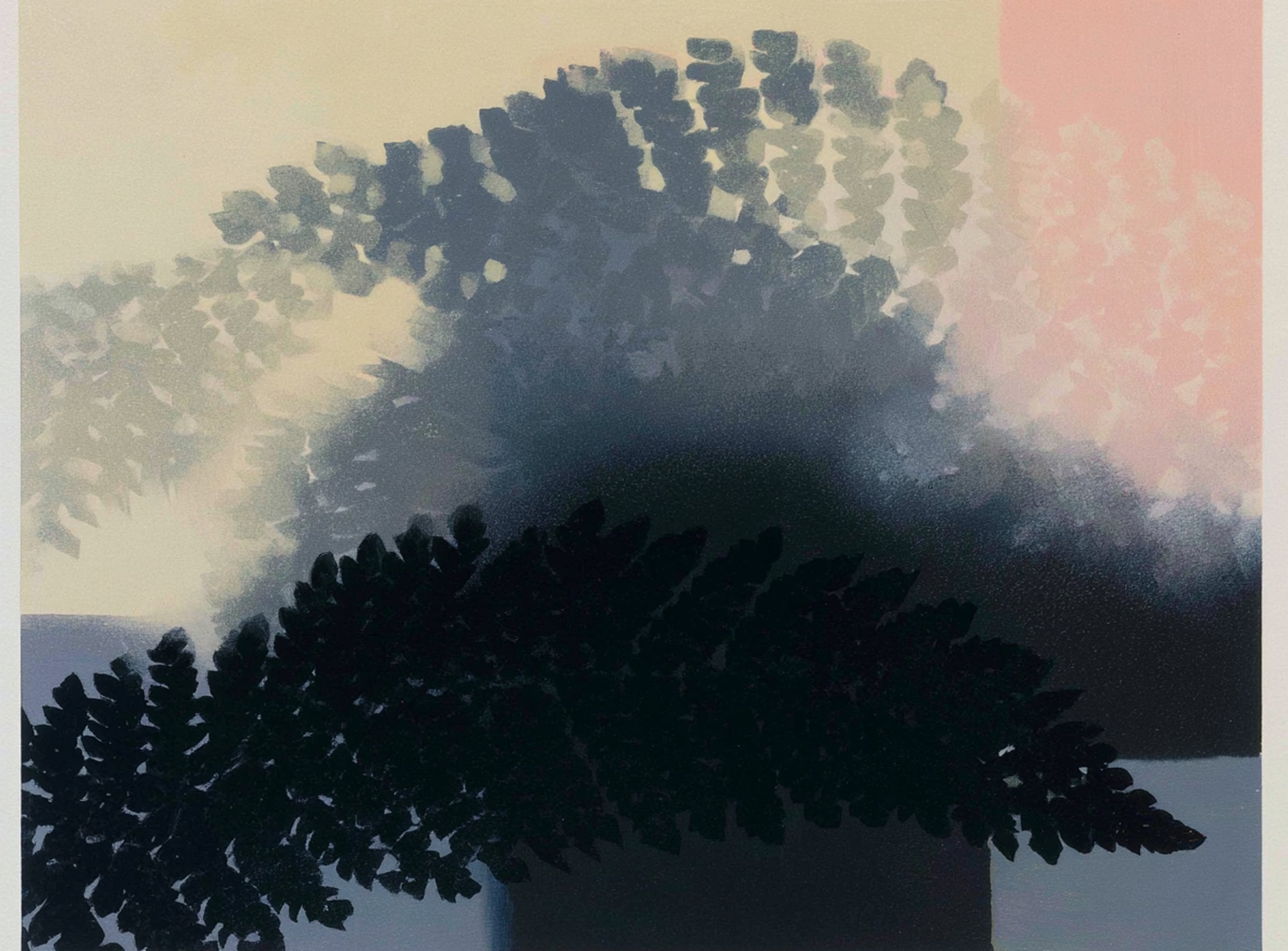 Tree shadow across the sky