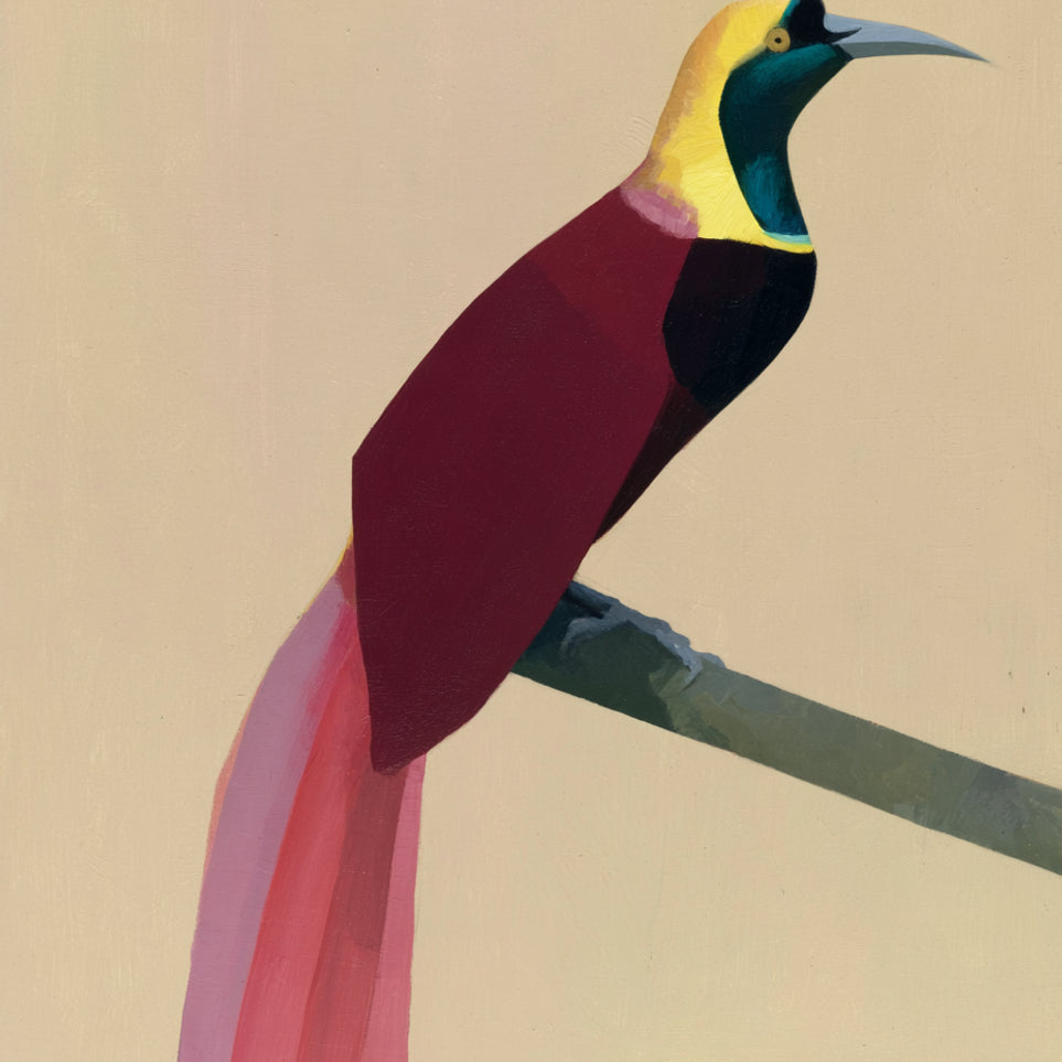 A bright bird on a branch