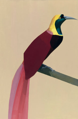 A bright bird on a branch