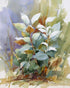Layered Leaves in Soft Light