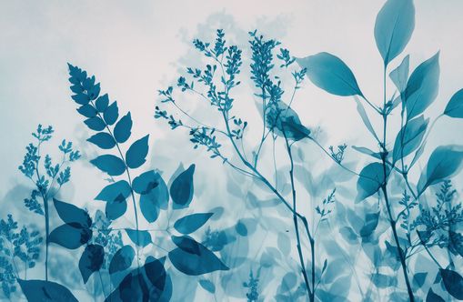 Translucent Layer of Leaves
