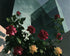Roses against glass towers