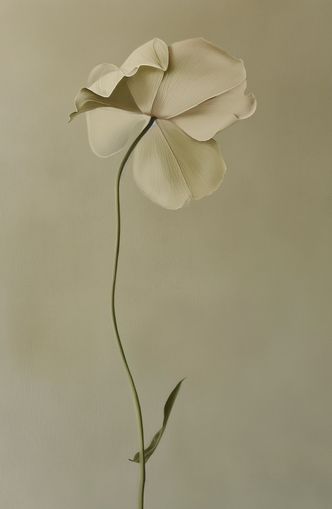 One flower leaning into quiet