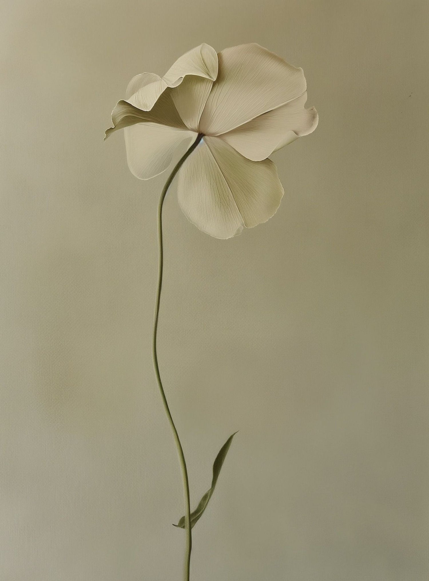 One flower leaning into quiet