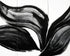 Three petals in black ink