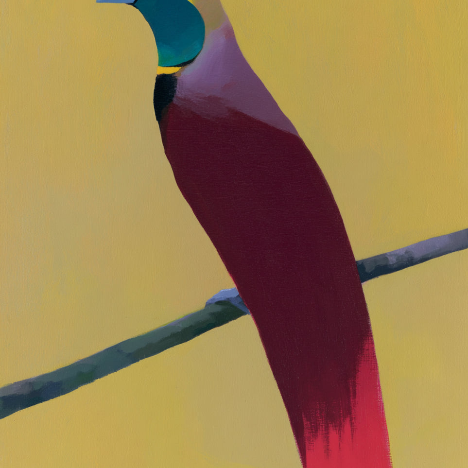 A bright bird on yellow