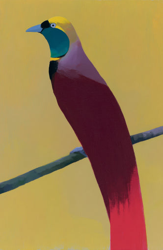 A bright bird on yellow