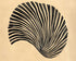 A spiral under strain