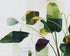 Stems crossing the pale grid