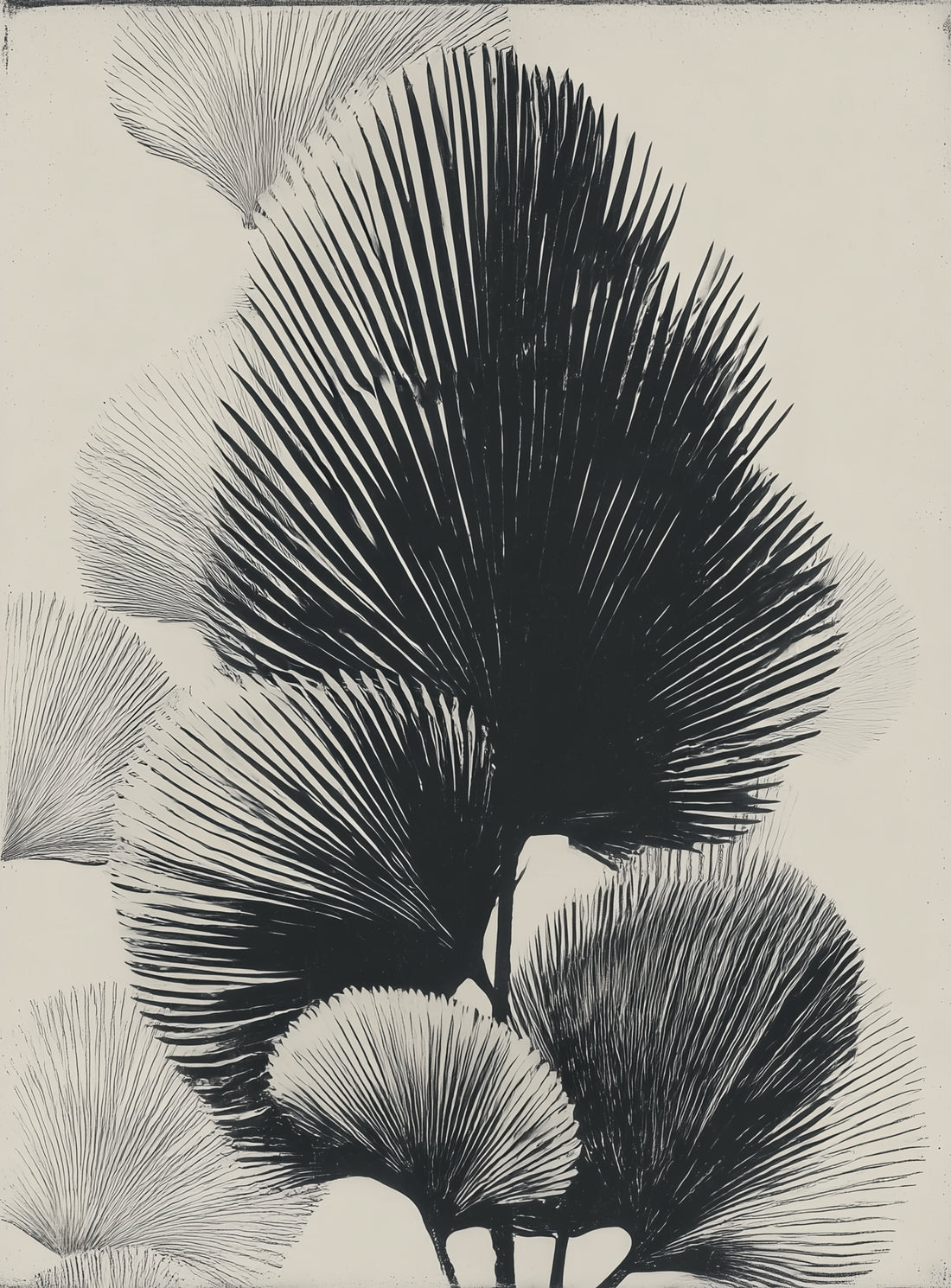 Fan fronds in ink shadow