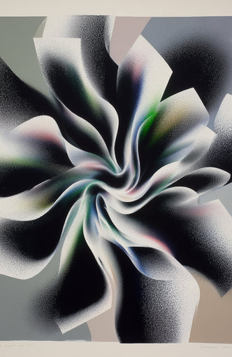 Spiral fold within pale blocks