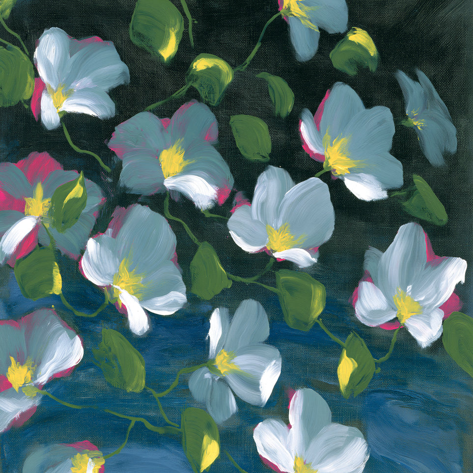 Pale blooms on black