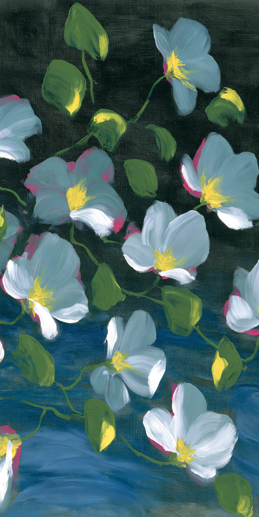 Pale blooms on black