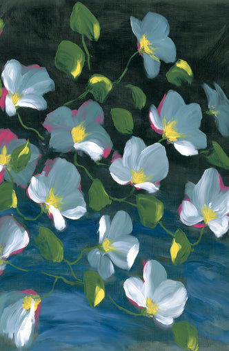 Pale blooms on black