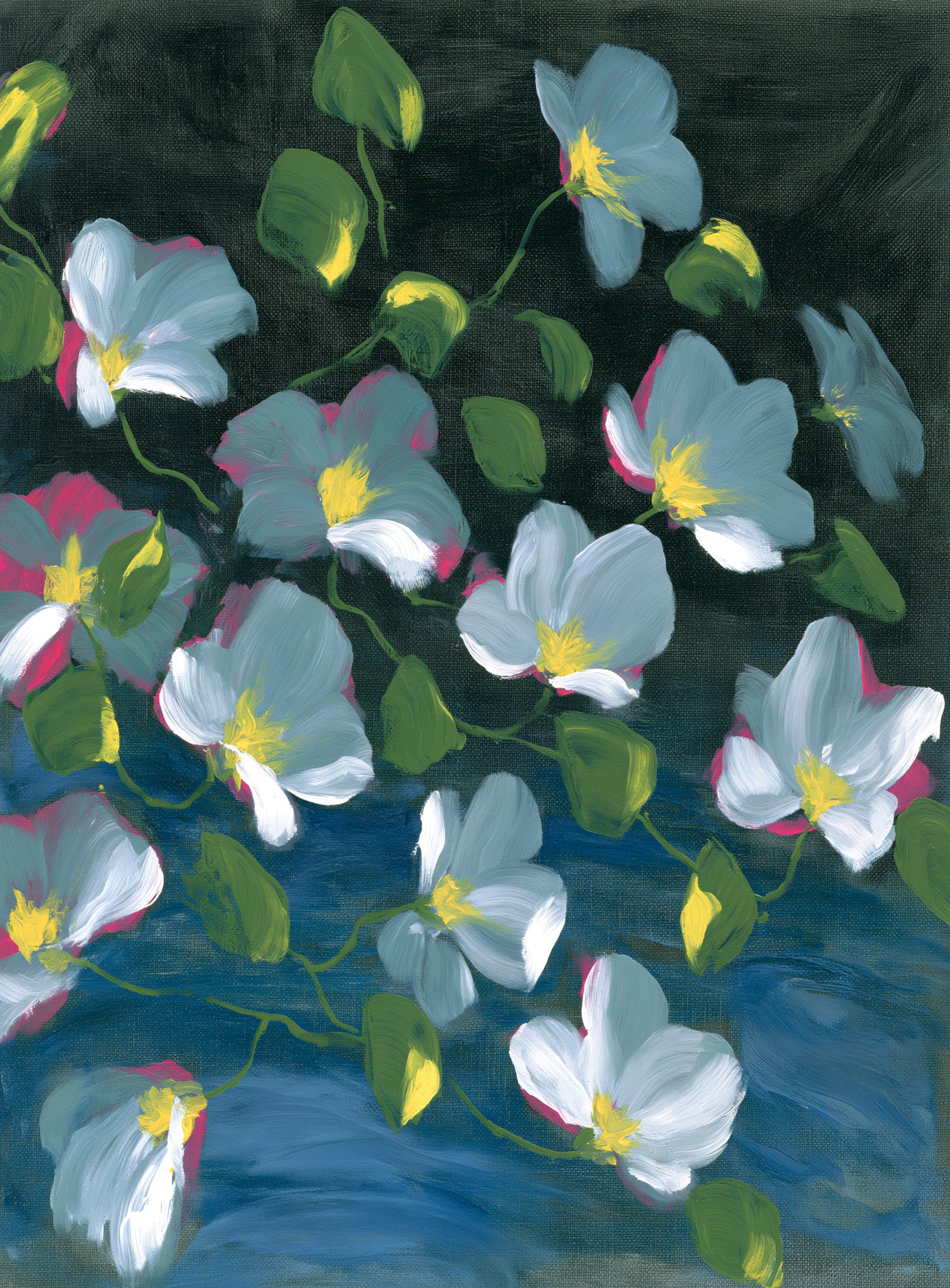 Pale blooms on black