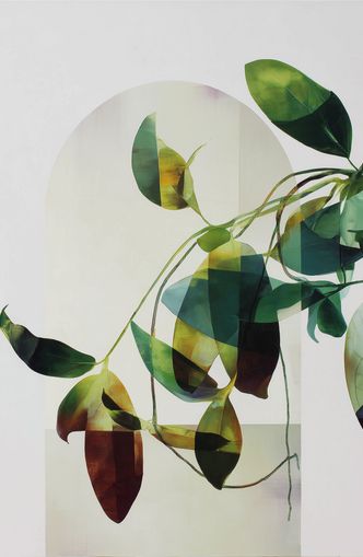 Leaves in a pale halo