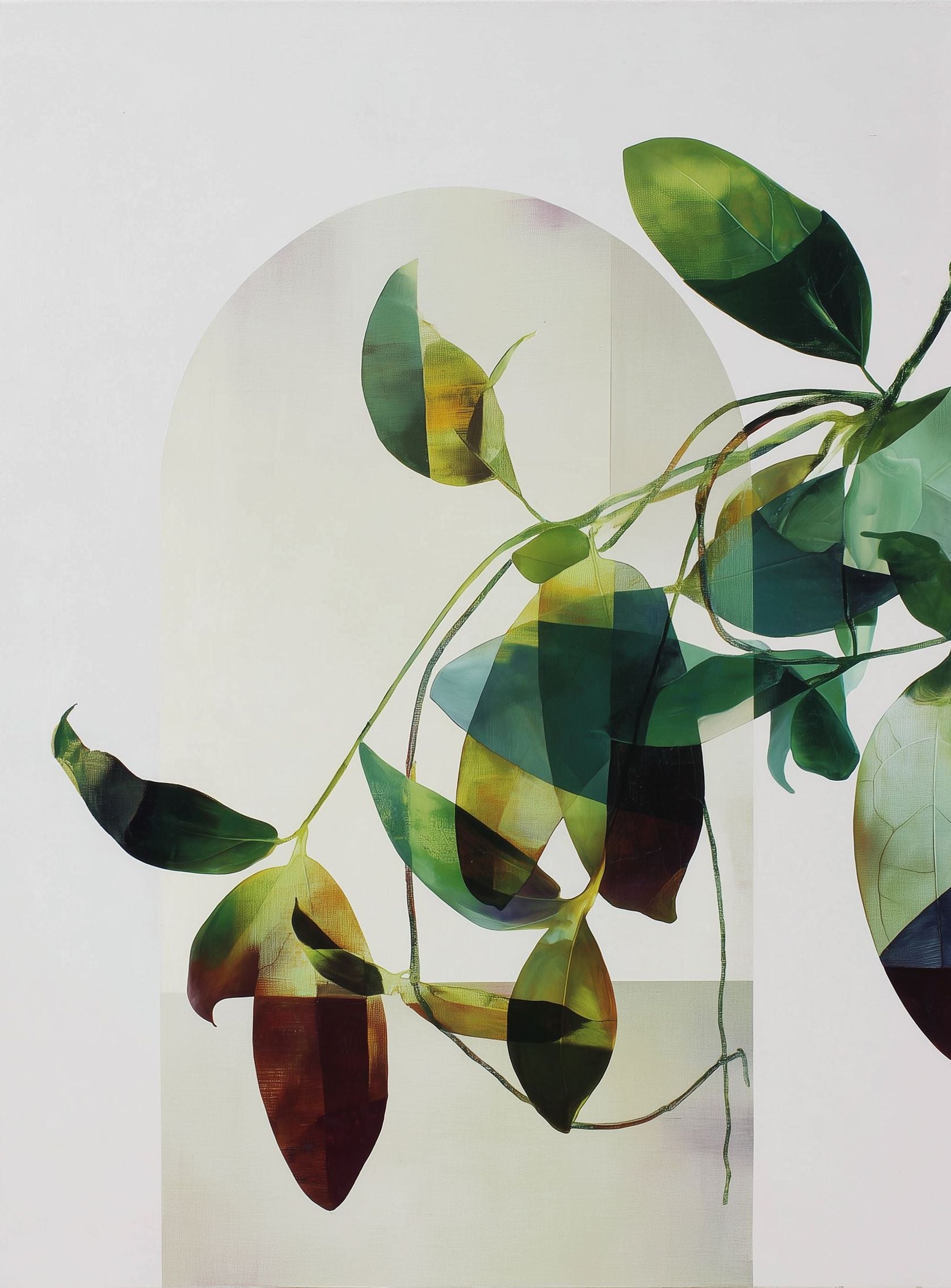 Leaves in a pale halo