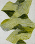Olive stripes across white
