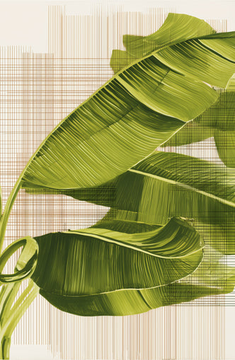 Banana leaves against the grid